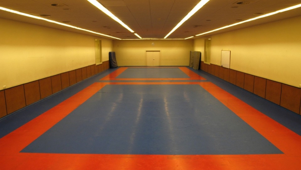 Galeria: Sala Judo Club Esportiu INEF Barcelona