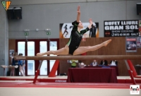 Campionat de Catalunya de Base i Via Olímpica -individual- de Gimnàstica Artística Femenina a Vic